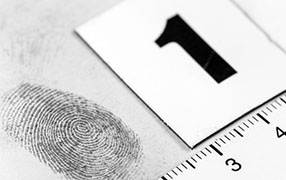 Licenciatura en Criminología