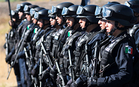 Seguridad Pública
