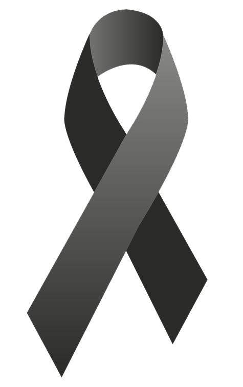 Descripción de la imagen